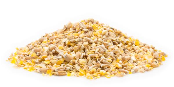 Mifuma Kükenstarter Premium 25kg